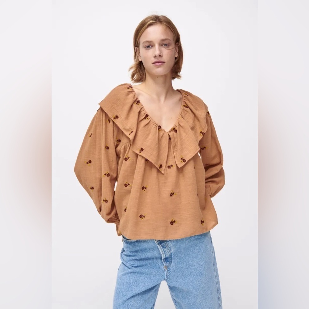 Zara embroidered romantic blouse 100% Cotton Tan / Floral Large